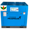 Máy Nén Khí Trục Vít Biến Tần Pegasus TMBT10A 7.5kw